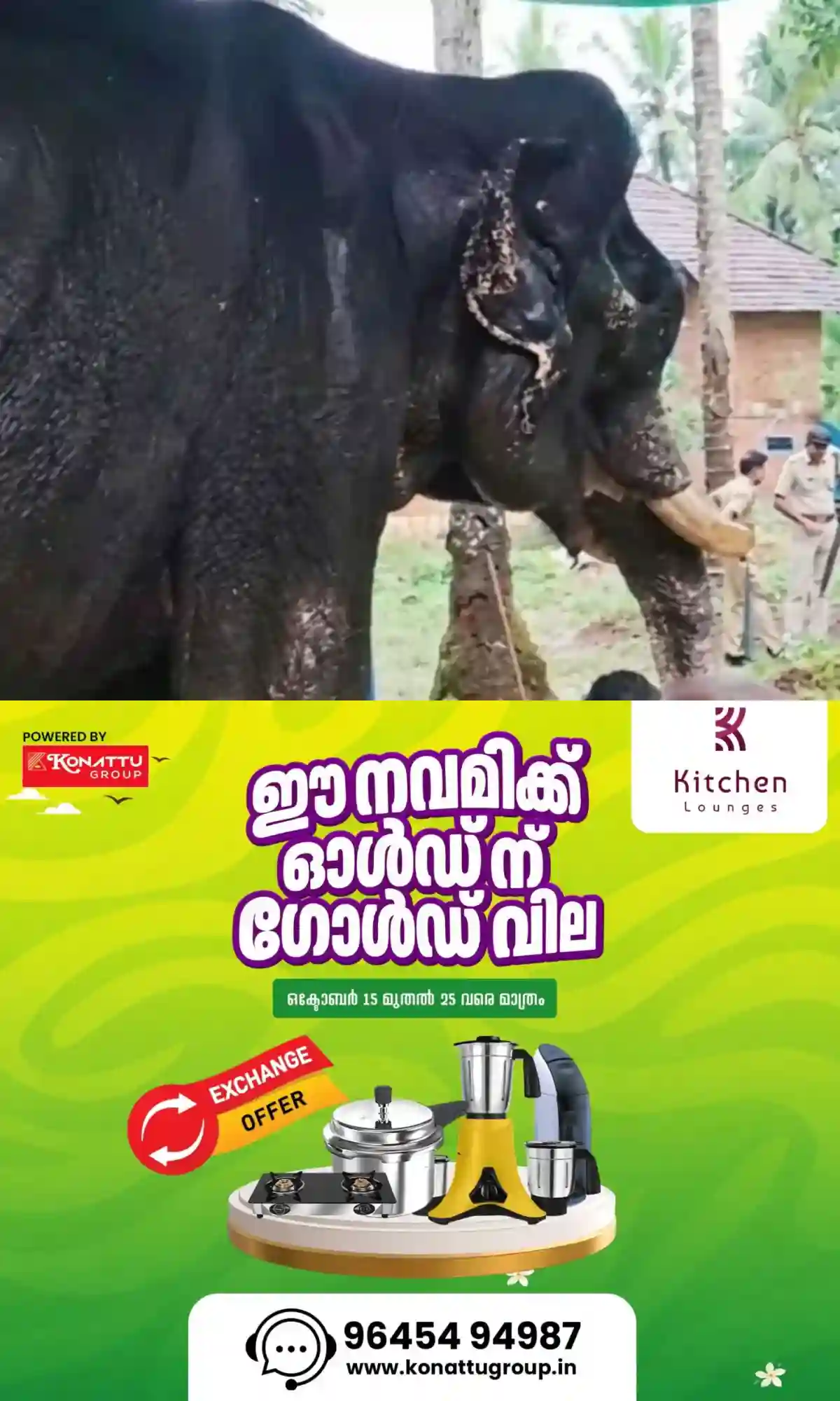 ആനയ്ക്ക് മതിയായ ഭക്ഷണവും പരിചരണവുമില്ല, പരിശോധനയില് പോഷകാഹാരക്കുറവ്; ഉടമയ്ക്കും പാപ്പാനുമെതിരെ കേസെടുത്തു
