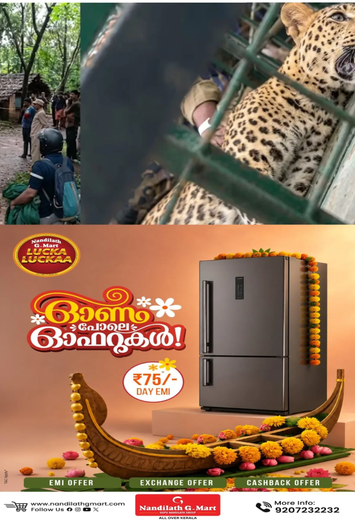 കെണി വെച്ചതാര് ?, പന്നിക്കെണിയില് കുടുങ്ങിയ പുലി ചത്ത സംഭവം; വനം വകുപ്പ് അന്വേഷണം തുടങ്ങി