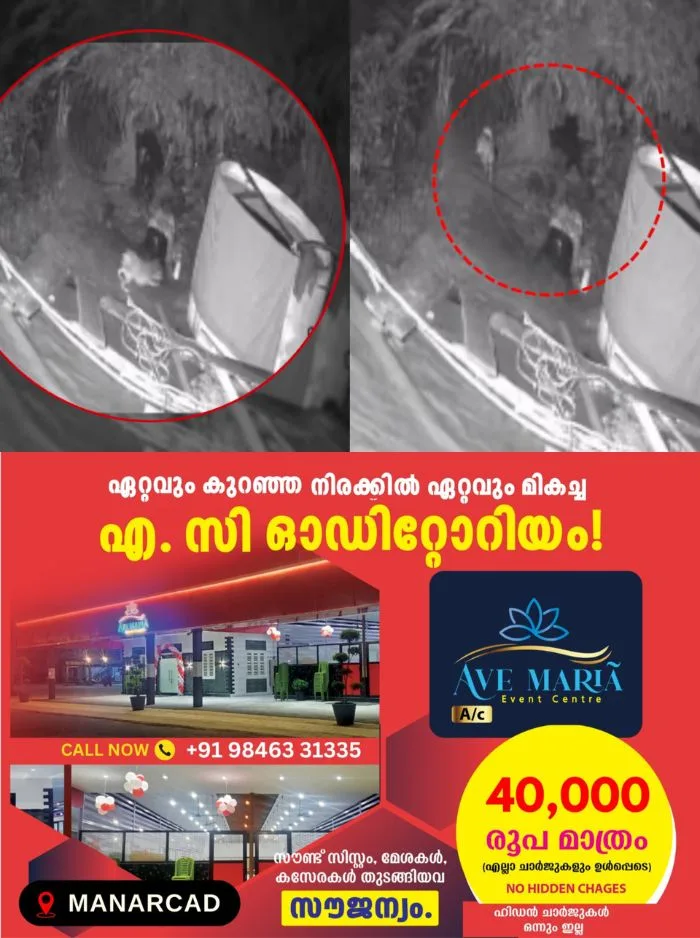 കുമളി ചോറ്റുപാറ ജനവാസ മേഖലയിൽ കരടിയിറങ്ങി; നാട്ടുകാർ ഭീതിയിൽ, സംഭവം ഇന്ന് പുലർച്ചെ ഒരു മണിയോടെ