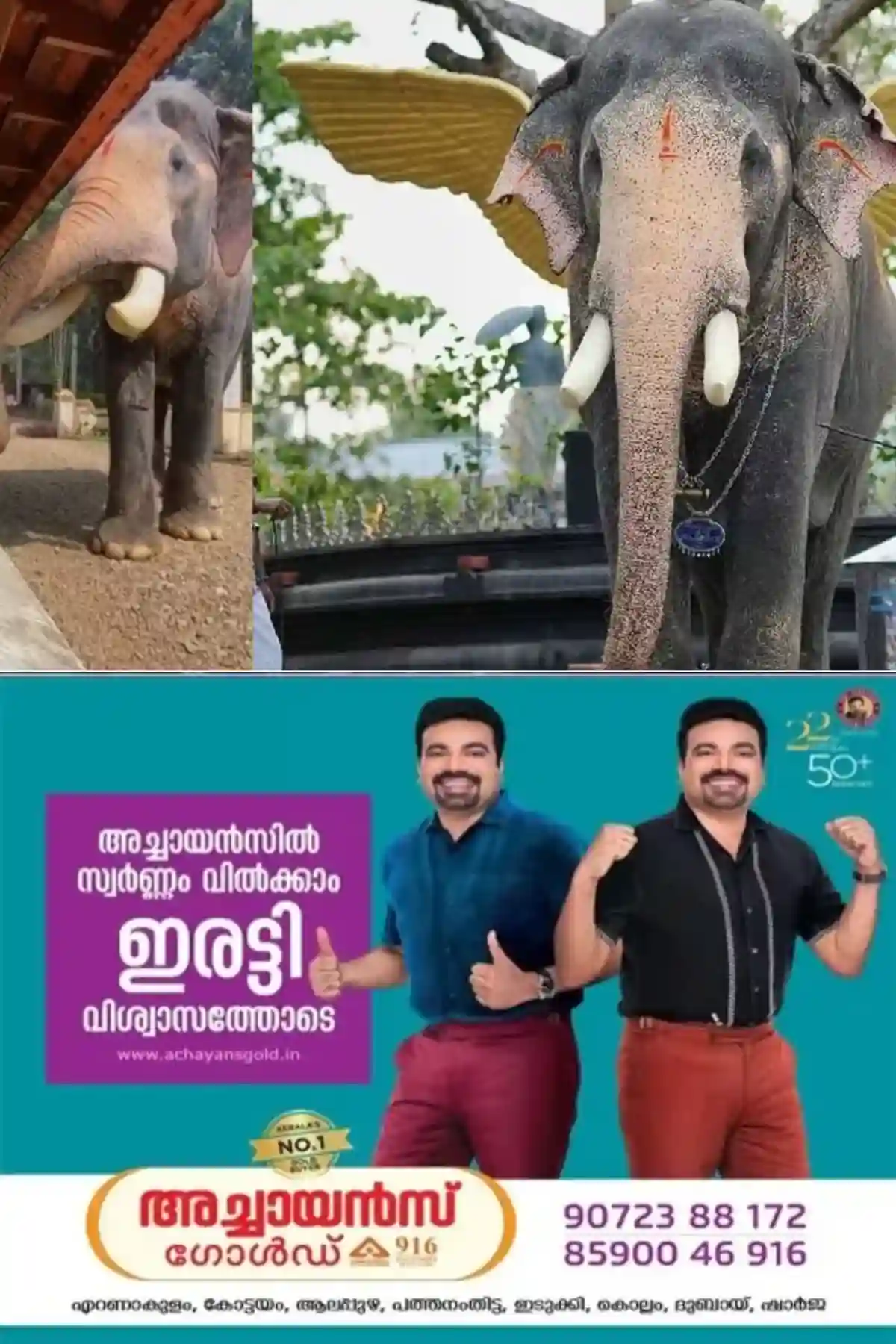 ഇടിമിന്നലേറ്റ്‌ അകാലത്തില്‍ വിടപറഞ്ഞ ഗജരത്നം പല്ലാട്ട്‌ ബ്രഹ്‌മദത്തന്‍ അനുസ്‌മരണം നാളെ രാവിലെ 9.30 ന്‌ പാലാ മില്‍ക്ക്‌ ബാര്‍ ഓഡിറ്റോറിയത്തില്‍ നടക്കും; മാണി സി. കാപ്പന്‍ എം.എല്‍.എ സമ്മേളനം ഉദ്‌ഘാടനം ചെയ്യും 