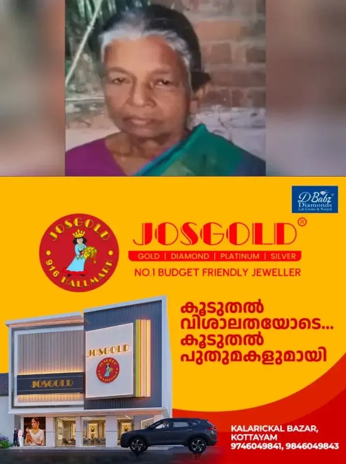സംസ്ഥാനത്ത് വീണ്ടും ജീവനെടുത്ത് കാട്ടാന; കൊല്ലത്ത് 80കാരിക്ക് ദാരുണാന്ത്യം, ആക്രമണം തൊഴിലുറപ്പ് ജോലിക്ക് പോകുന്നതിനിടെ