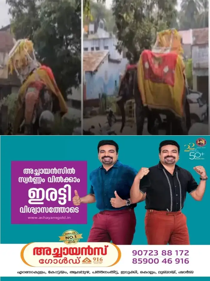 കർണാടകത്തിൽ ദസറ ആഘോഷത്തിനിടെ ആന ഇടഞ്ഞോടി; രണ്ട് കാറുകൾ തകർത്തു; പാപ്പാന് പരിക്ക്