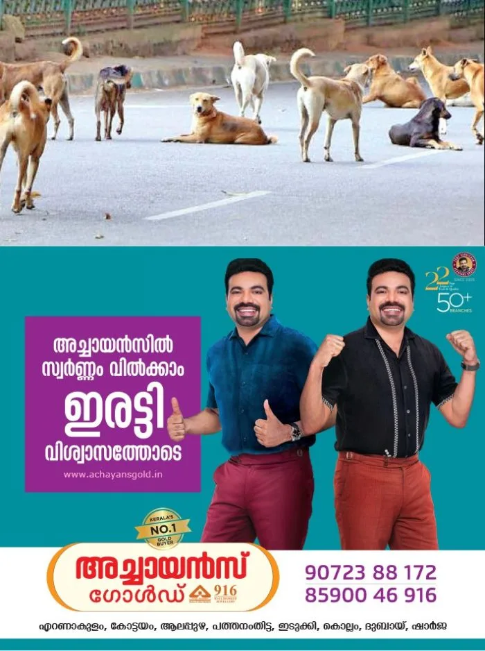 'അക്രമകാരികളായ നായ്ക്കളെ കൊല്ലാം'; തെരുവ് നായ്ക്കളെ ദയാവധം ചെയ്യുന്നതിനുള്ള മാർഗനിർദേശം പുറത്തിറക്കി തദ്ദേശ വകുപ്പ്