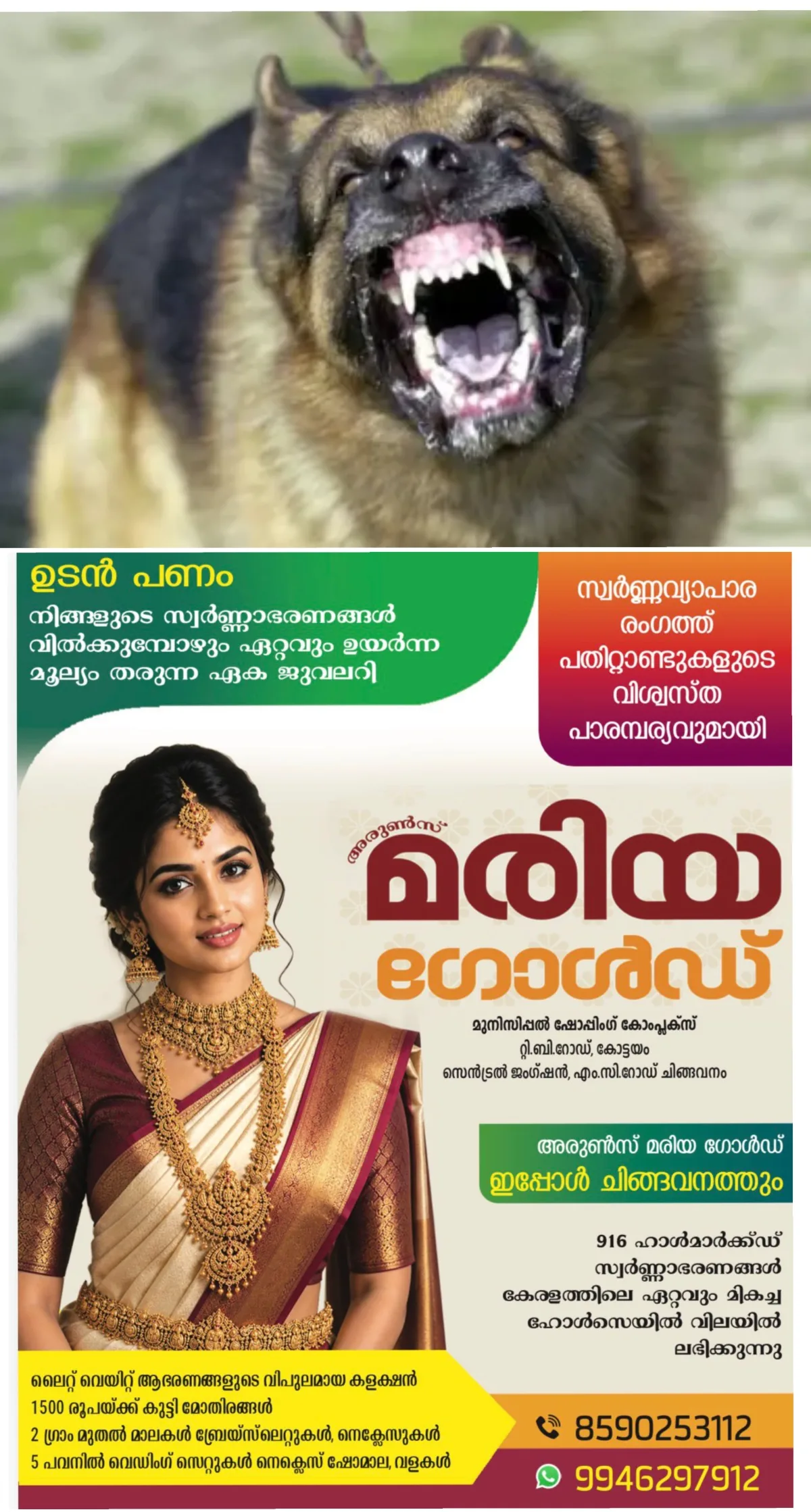 വീട്ടുമുറ്റത്ത് കളിച്ചുകൊണ്ടിരിക്കെ ആറാം ക്ലാസ് വിദ്യാര്ത്ഥിയുടെ കൈവിരല് കടിച്ചെടുത്ത് തെരുവുനായ; നായയ്ക്കായി പരിസരവാസികള് തിരച്ചില് നടത്തിയെങ്കിലും കണ്ടെത്താനായില്ല