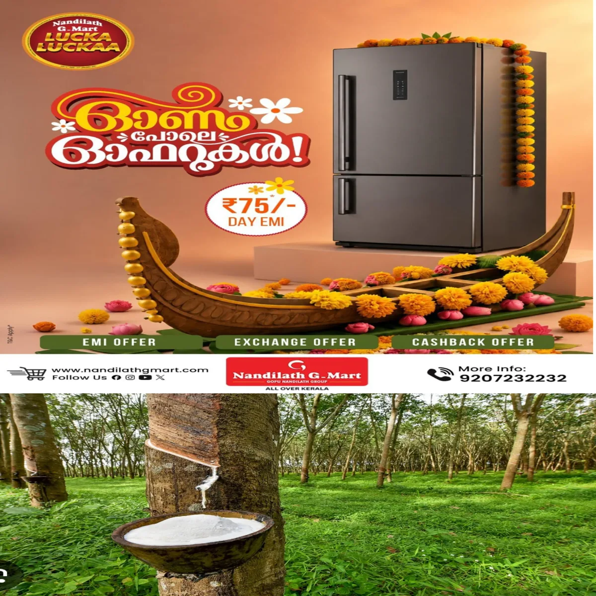 കാലാവസ്ഥ ചതിച്ചു:  ഒരാഴ്ചയായി തുടരുന്ന ഒറ്റപ്പെട്ട മഴയിലും റബറിന് നേട്ടമില്ല: ഉത്പാദനം കുറയുന്നു
