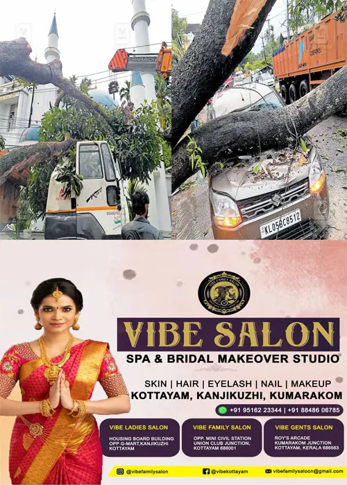 ചങ്ങനാശേരിയിൽ ജീവൻ രക്ഷിച്ചത് റോഡിൽ കേടായി കിടന്ന ലോറി;ലോറിയില്ലായിരുന്നെങ്കിൽ ജീവൻ തന്നെ നഷ്ടപ്പെടുമായിരുന്നു വിതുമ്പി കൊണ്ട് സി.വി.പോൾ; ശക്തമായ കാറ്റിൽ റോഡരികിലെ കൂറ്റൻ മാവ് കടപുഴകി;വൻ അപകടം ഒഴിവായത് തലനാരിഴക്ക്