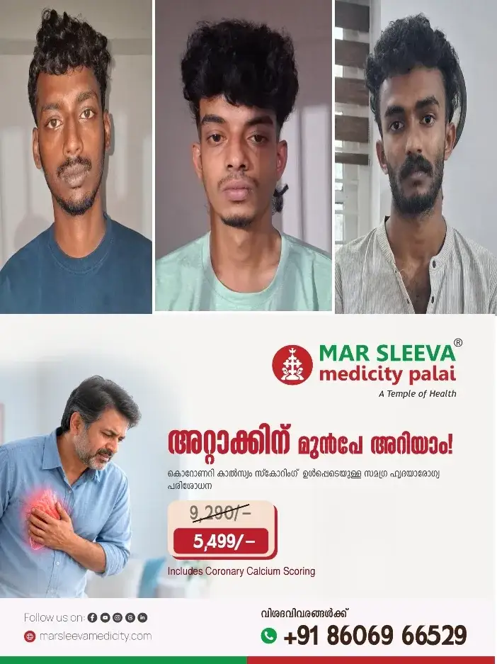 എരുമേലിയിൽ 1.880 കിലോ കഞ്ചാവുമായി മൂന്ന് യുവാക്കൾ പിടിയിൽ; പിടിയിലായത്  മുണ്ടക്കയം സ്വദേശികൾ: പ്രതികളിൽ നിന്ന്കഞ്ചാവ് കടത്താൻ ഉപയോഗിച്ച   ഓട്ടോറിക്ഷയും മൊബൈൽ ഫോണുകളും പണവും പോലീസ് പിടിച്ചെടുത്തു