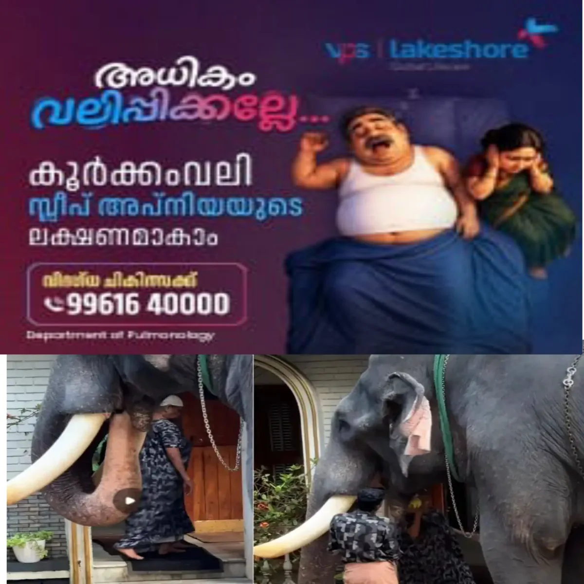 അമ്മയെ ആണെനിക്കിഷ്ടം: ഭക്ഷണം കൊടുക്കുമ്പോൾ അനുസരണയോടെ നിൽക്കുന്ന പാമ്പാടി രാജന്റെ വീഡിയോ വൈറൽ.