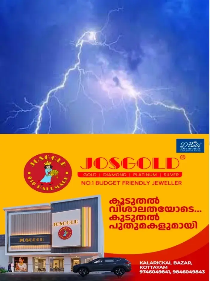 വൈക്കത്ത് ഇടിമിന്നലിൽ കനത്ത നാശനഷ്ടം;ഉദയനാപുരത്തും വടയാറിലുമാണ് ഇടിമിന്നൽ നാശം വിതച്ചത്