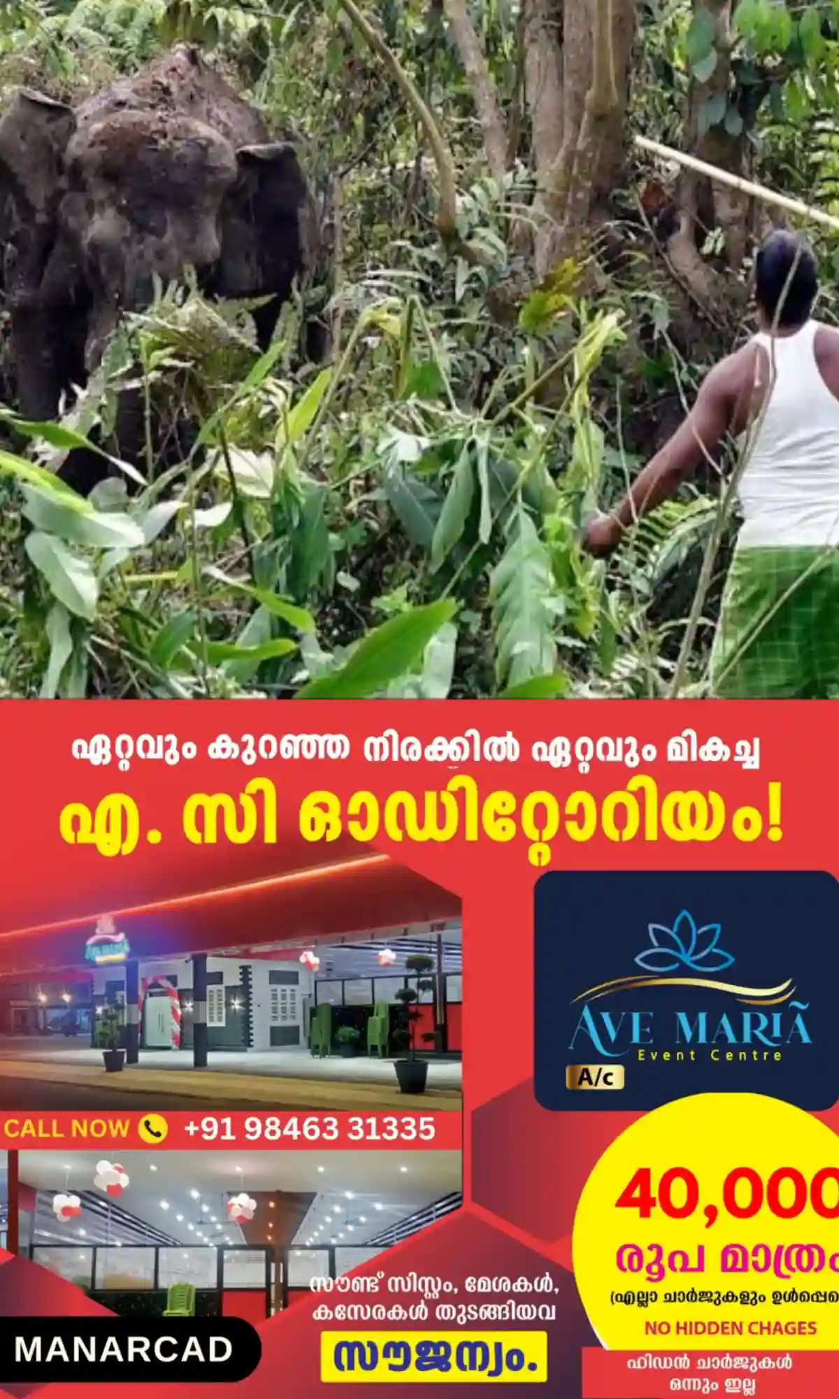 പാമ്പ് കടിച്ചോ കടന്നല് കുത്തേറ്റോ ഉള്ള ജീവഹാനിക്ക് 5 ലക്ഷം; വന്യജീവി ആക്രമണത്തില് കൊല്ലപ്പെടുന്നവരുടെ ആശ്രിതര്ക്കുള്ള നഷ്ടപരിഹാരം 17.5 ലക്ഷമാക്കി സര്ക്കാര്