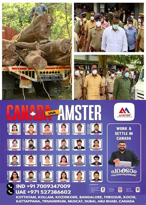 മു​ട്ടി​ൽ മ​രം​മു​റി​യു​മാ​യി ബ​ന്ധ​പ്പെ​ട്ട വ​ഞ്ച​നാ കേ​സ്; സ്റ്റേ​യി​ല്ല, കു​രു​ക്ക് മു​റു​കു​ന്നു; അ​ഗ​സ്റ്റി​ൻ സ​ഹോ​ദ​ര​ങ്ങ​ൾ കോ​ട​തി​യി​ൽ ഹാ​ജ​രാ​ക​ണം