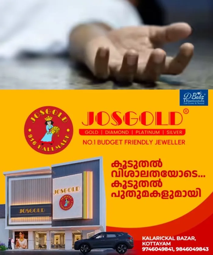 കൊല്ലത്ത് കെഎസ്ഇബി ജീവനക്കാരൻ ഷോക്കേറ്റ് മരിച്ചു; അപകടം നടന്നത് ഇന്ന് വൈകുന്നേരം