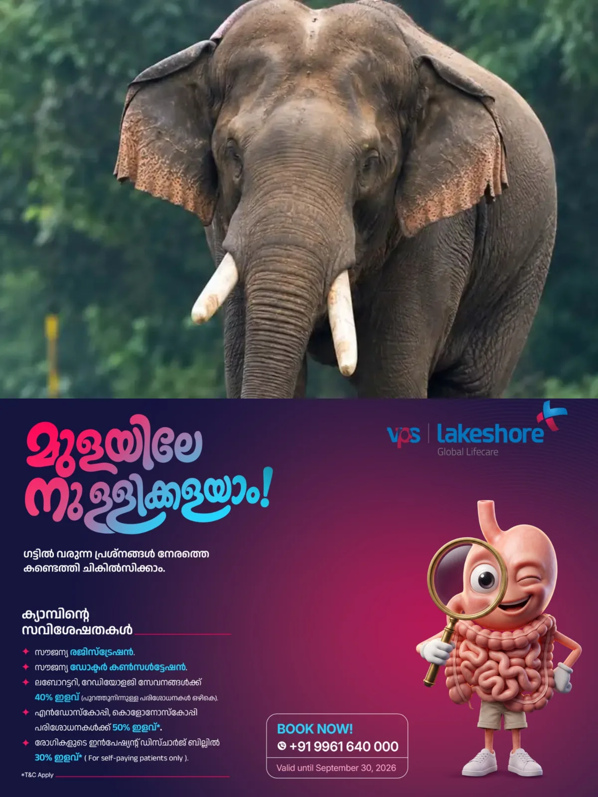 വീണ്ടും ജീവനെടുത്ത് കാട്ടാന; റോഡിലൂടെ നടന്ന് പോവുകയായിരുന്ന അതിഥി തൊഴിലാളിക്ക് ദാരുണാന്ത്യം
