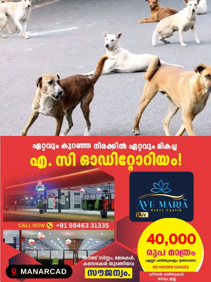 തെരുവുനായ നിയന്ത്രണത്തിൽ സുപ്രീം കോടതി നിർദേശം നടപ്പാക്കാൻ കേരളം; ദയാവധം ചെയ്യാൻ തദ്ദേശസ്ഥാപനങ്ങൾക്ക് അനുമതി