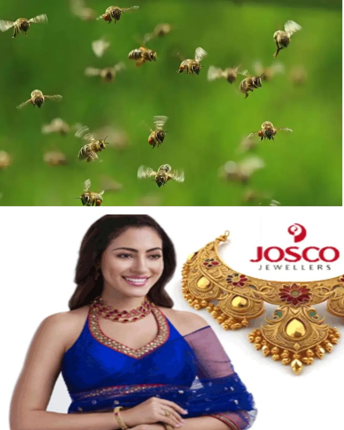 പത്തനംതിട്ട-ഗവി റൂട്ടിലെ കെഎസ്‌ആര്‍ടിസി ബസ് യാത്രക്കാര്‍ക്ക് നേരെ തേനീച്ച ആക്രമണം; യാത്രക്കാര്‍ക്ക് കുത്തേറ്റു