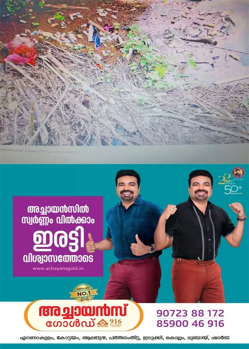 മാലിന്യത്തിൽ മുങ്ങി പ​​ന്ന​​ഗം തോ​​ട്;മാ​​ലി​​ന്യ​​ങ്ങ​​ൾ അ​​ടി​​ഞ്ഞു​​കൂ​​ടി​​ ഒ​​ഴു​​ക്ക് നി​​ല​​ച്ചു;ന​​ട​​പ​​ടിയെടുക്കാതെ അധികാരികൾ ​​ 