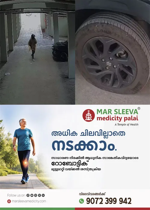 ഭാര്യ വിവാഹമോചനത്തിന് കേസ് നൽകി;പിന്നാലെ അമ്മായിയമ്മയുടെ കാറിന്റെ ടയറുകൾ കുത്തിക്കീറി; മരുമകനെതിരെ പൊലിസ് കേസെടുത്തു