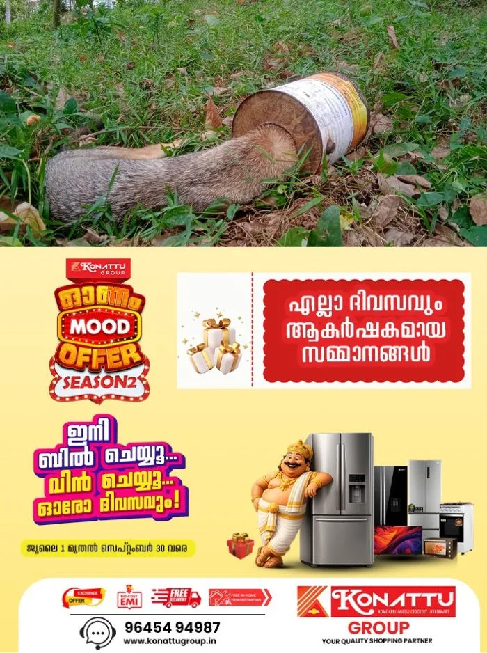 പശ പാത്രത്തിൽ തല കുടുങ്ങിയ നിലയിൽ കുറുനരിയെ കണ്ടെത്തി; സംഭവം പാമ്പാടി നെടുങ്ങോട്ടുമല റബ്ബർ തോട്ടത്തിൽ