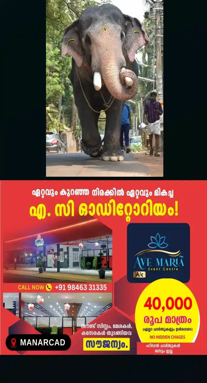 ഇടിമിന്നലേറ്റ് കൊമ്പന് പല്ലാട്ട് ബ്രഹ്മദത്തന് ചെരിഞ്ഞു