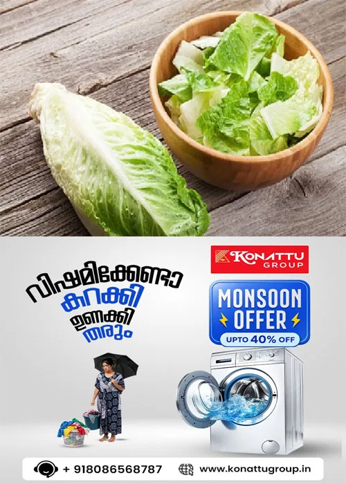 രാവിലെ പ്രാതലിന് ഇതൊന്നും വേണ്ട;ആരോഗ്യകാര്യത്തിൽ വേണം കരുതൽ