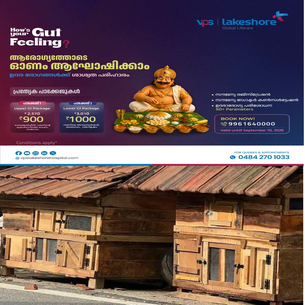 മുട്ട വില മുകളിലേക്ക്: നാട്ടിൻപുറങ്ങളിൽ മുട്ടക്കാഴിവളർത്തൽ സജീവമാകുന്നു