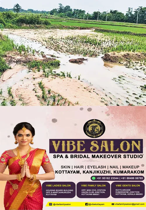 കനത്ത മഴയിൽ കോട്ടയത്ത് വ്യാപക കൃഷി നാശം; 20 കോടിയുടെ കൃഷിനാശം; ജില്ലയിലെ 1086.21 ഹെക്ടർ പ്രദേശത്തെ കൃഷിയെ മഴ ബാധിച്ചു; 5827 കർഷകരുടെ വിളകൾ നശിച്ചു;ഏറ്റവും കൂടുതൽ കൃഷിനാശം റിപ്പോർട്ട് ചെയ്തത് ഏറ്റുമാനൂർ ബ്ലോക്കിൽ