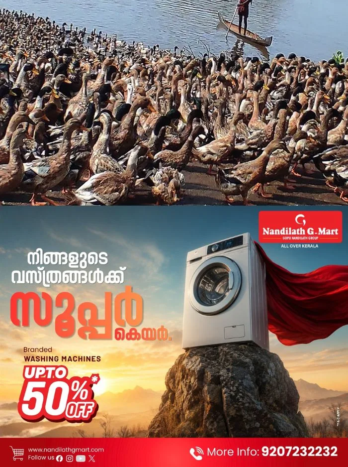 അട വെക്കാനുള്ള മുട്ട കിട്ടാനില്ല; ജില്ലയിലെ താറാവ് കർഷകർ കടുത്ത പ്രതിസന്ധിയിൽ 
