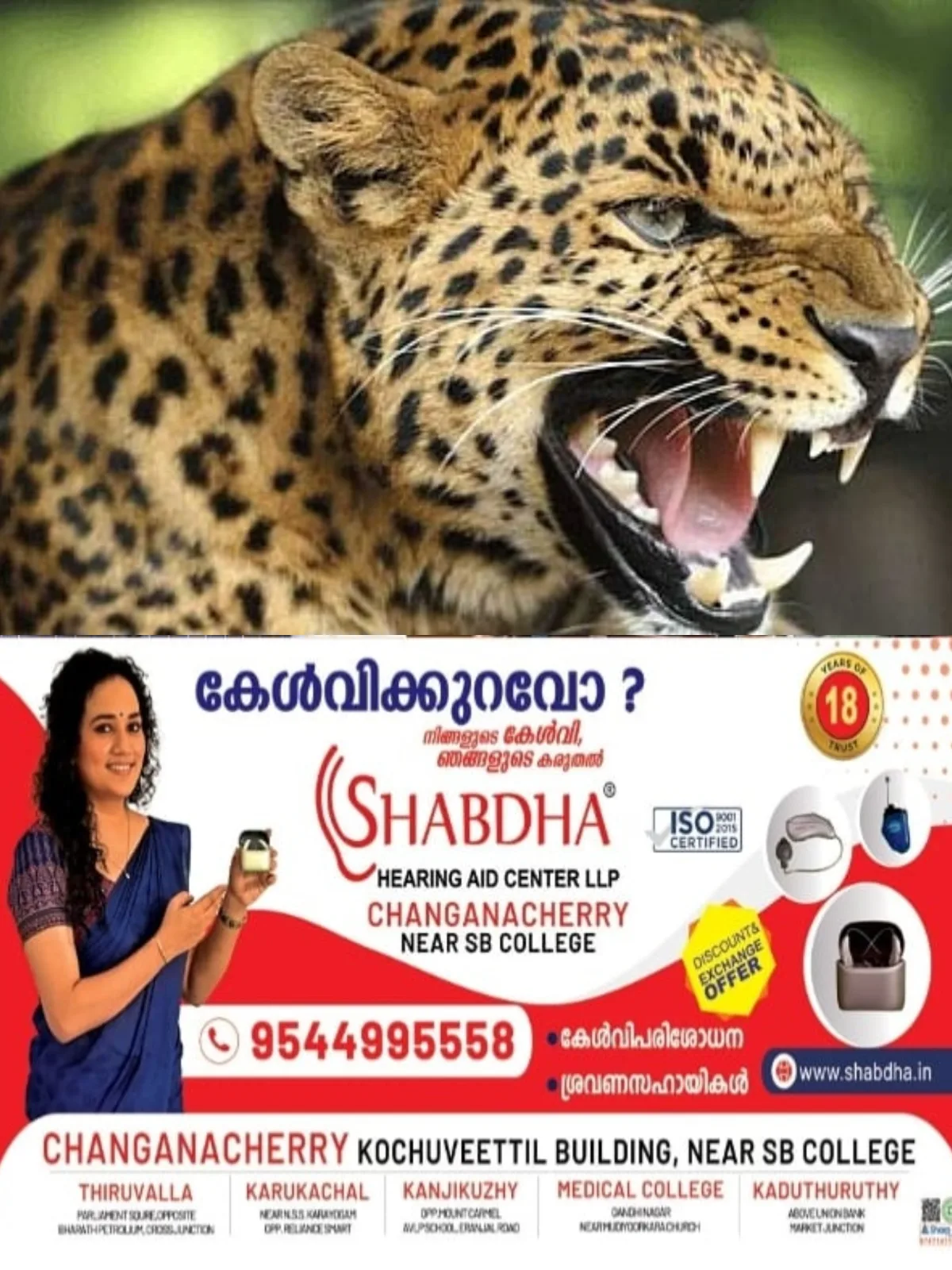 പുലിഭീതി; മൈലാടിപൊട്ടിയില്‍ പുറത്തിറങ്ങാനാകാതെ ജനങ്ങള്‍, അടിയന്തരമായി കൂട് സ്ഥാപിക്കണമെന്ന് ആവിശ്യം