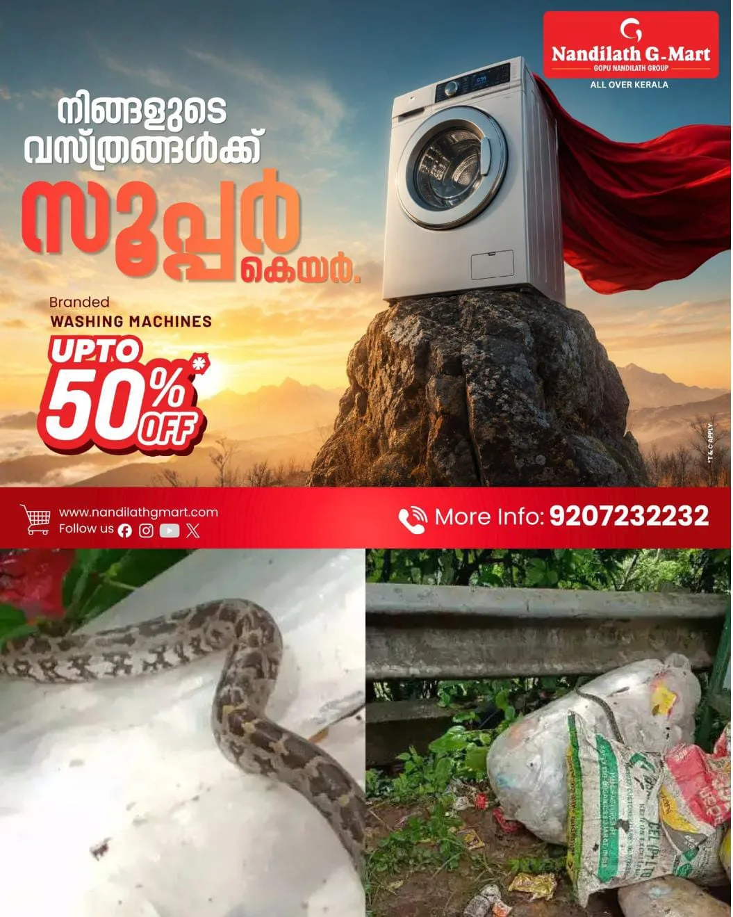 മാലിന്യ ചാക്ക് തുറന്നപ്പോൾ പാമ്പ് പുറത്തേക്ക് ചാടി: ഹരിത സേനാംഗങ്ങൾ രക്ഷപ്പെട്ടത് തലനാരിഴയ്ക്ക്: ആരോ മന: പൂർവം കെട്ടിവച്ചത്: സിസിടിവി ദൃശ്യങ്ങളുടെ  പരിശോധന തുടങ്ങി.