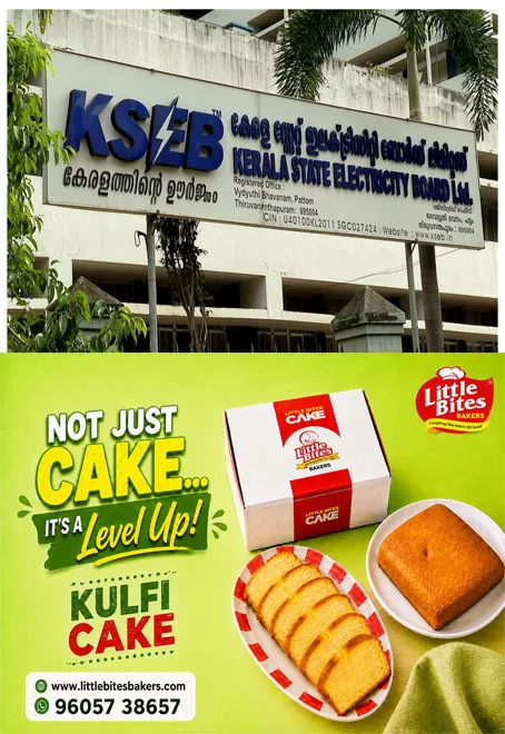 സംസ്ഥാനത്തെ വൈദ്യുതി പ്രതിസന്ധി; യൂണിറ്റിന് 30 രൂപ നിരക്കിൽ വൈദ്യുതി വാങ്ങാൻ കെഎസ്ഇബി; കഴിഞ്ഞ വർഷത്തേക്കാൾ ആയിരം മെഗാവാട്ട്  ഉപയോഗമാണ് ഈ വര്‍ഷമുള്ളത്