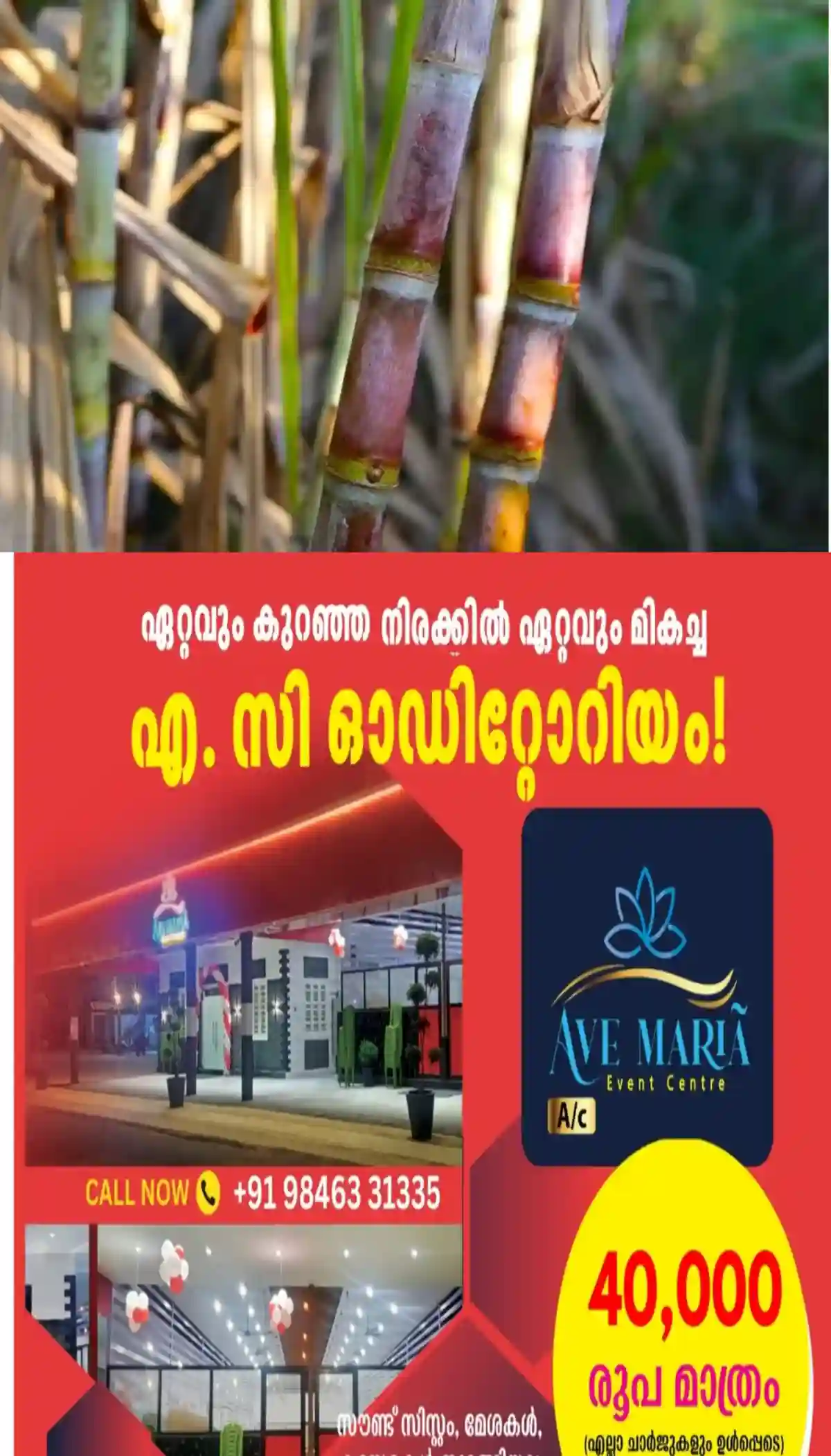 കരിമ്പിൽ നിന്നുള്ള എഥനോൾ ഉത്പാദനത്തിന് വിലക്കുമായി കേന്ദ്ര സർക്കാർ