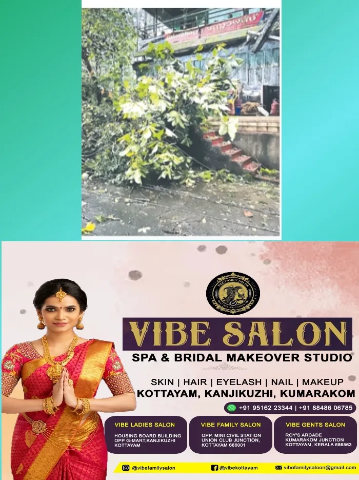 മീ​ന​ച്ചി​ൽ ഇ​ട​മ​റ്റ​ത്ത് ആ​ഞ്ഞു​വീ​ശി​യ ചു​ഴ​ലി​ക്കാ​റ്റി​ൽ ക​ന​ത്ത നാ​ശ​ന​ഷ്‌​ടം;നി​ര​വ​ധി പേ​രു​ടെ കൃ​ഷി ന​ശി​ച്ചു;പോ​സ്റ്റു​ക​ൾ ഒ​ടി​ഞ്ഞ് വൈ​ദ്യു​തി വി​ത​ര​ണം ത​ക​രാ​റി​ലാ​യി