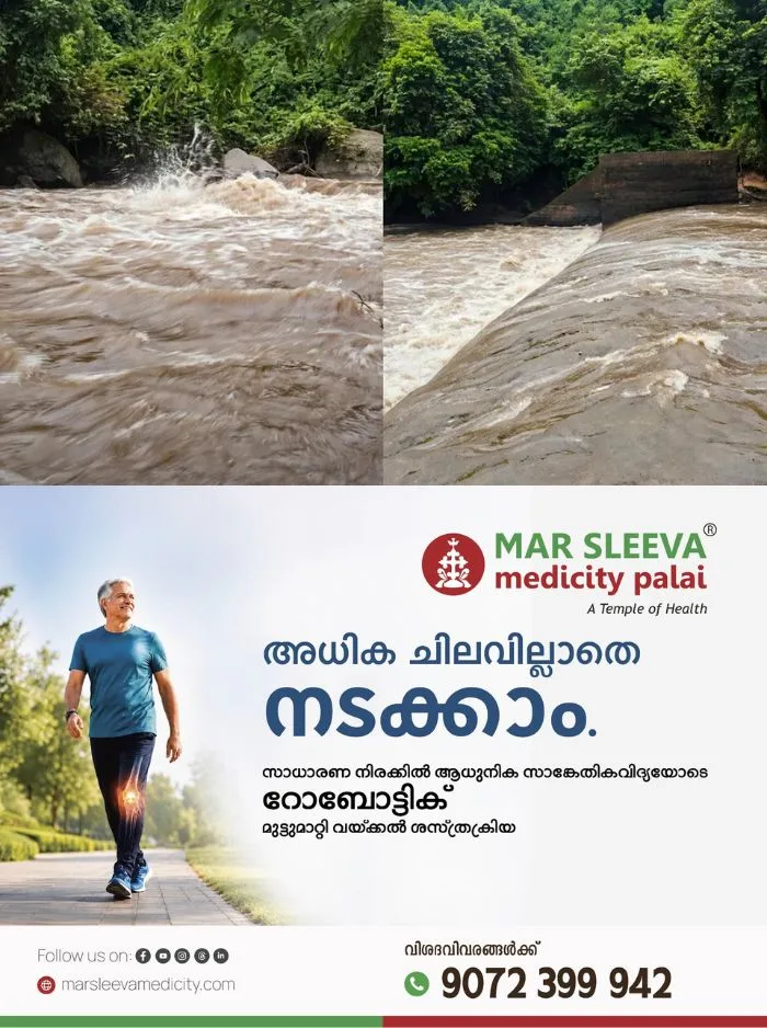 മലപ്പുറം പൂക്കോട്ടുംപാടത്തുണ്ടായ മലവെള്ളപ്പാച്ചിൽ: മരണം രണ്ടായി, മരിച്ചവരെ തിരിച്ചറിഞ്ഞിട്ടില്ല