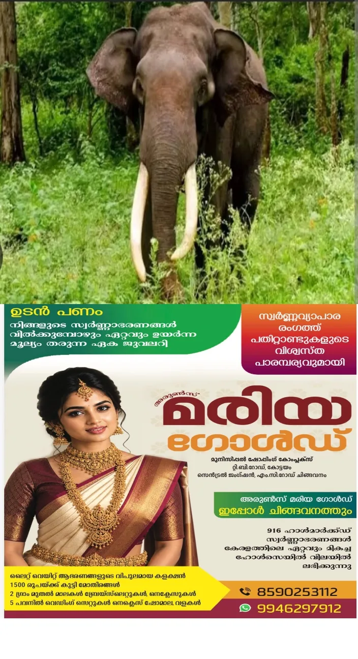 ഇടുക്കിയെ വിറപ്പിച്ച് കാട്ടാന;വനാതിർത്തി മേഖലകളിൽ രാത്രി ആളുകൾ പുറത്തിറങ്ങരുതെന്ന് കളക്ടർ;ചിന്നക്കനാലിൽ ഒരു മാസത്തിനിടെ കാട്ടാന ആക്രമണത്തിൽ കൊല്ലപ്പെട്ടത് നാലുപേർ