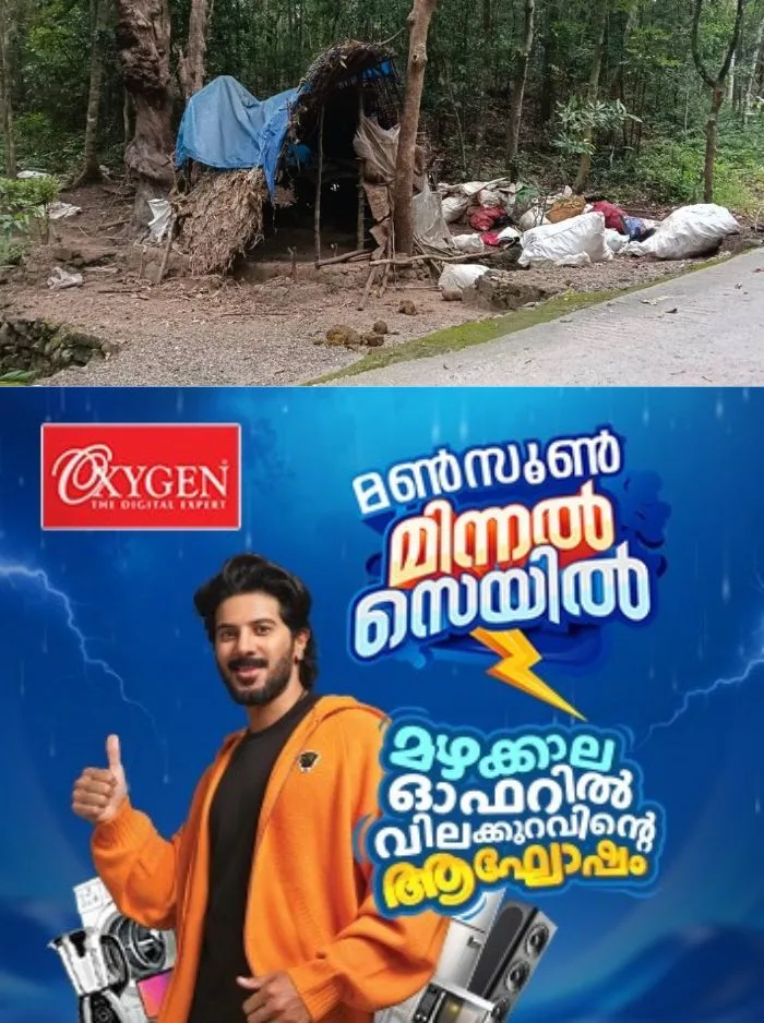 കാട്ടാന ആക്രമണം; പൊന്‍മുടിയില്‍ വനം സംരക്ഷണ സമിതിയുടെ താല്‍ക്കാലിക ഷെഡ് തകര്‍ത്തു, ആക്രമണമുണ്ടായത് ഇന്ന് പുലർച്ചെ 