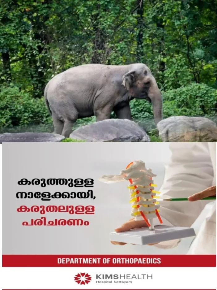 ആറളത്തെ ജനങ്ങളുടെ ഉറക്കകെടുത്തിയ കെഎം1 മോഴയാനയെ പിടികൂടാനുള്ള ദൗത്യം ഇന്ന് തുടങ്ങും;വയനാട്ടിൽനിന്ന് ഉണ്ണികൃഷ്ണൻ എന്ന കുങ്കിയാനയെയും ഉടൻ എത്തിക്കും