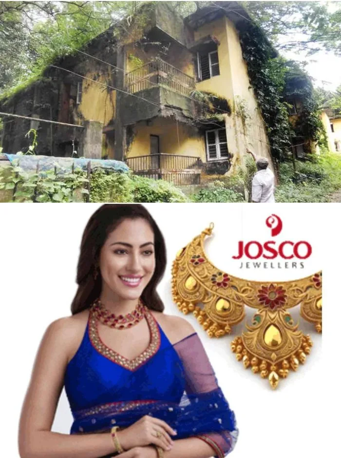 ഒരുകാലത്ത് തലയെടുപ്പോടെ നിന്നിരുന്ന കെട്ടിടങ്ങൾ ഇന്ന് കാടുപിടിച്ച് ജീർണാവസ്ഥയിൽ; കാഞ്ഞിരപ്പള്ളിയിൽ പി ആൻഡ് ടി ക്വാർട്ടേഴ്‌സ് കാടുകയറി ഉപയോഗശൂന്യമായി