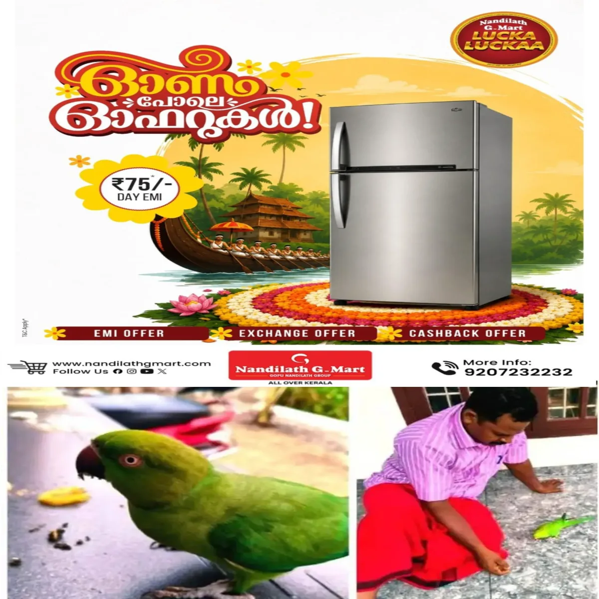 ഒരു തത്തമ്മയും വീട്ടുകാരും തമ്മിലുള്ള ആത്മബന്ധത്തിന്റെ കാഴ്ചകൾ കൗതുകമുണർത്തുന്നു.