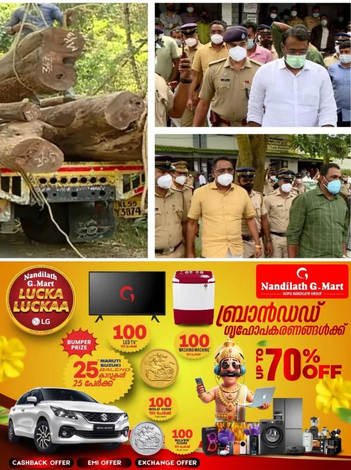 മുട്ടിൽ മരംമുറി വഞ്ചനാ കേസ്; ഹാജരാകാതെ പ്രതികൾ, നിലപാട് കടുപ്പിച്ച് കോടതി, ഈ മാസം 11ന് ഹാജരാകാൻ അന്ത്യശാസനം