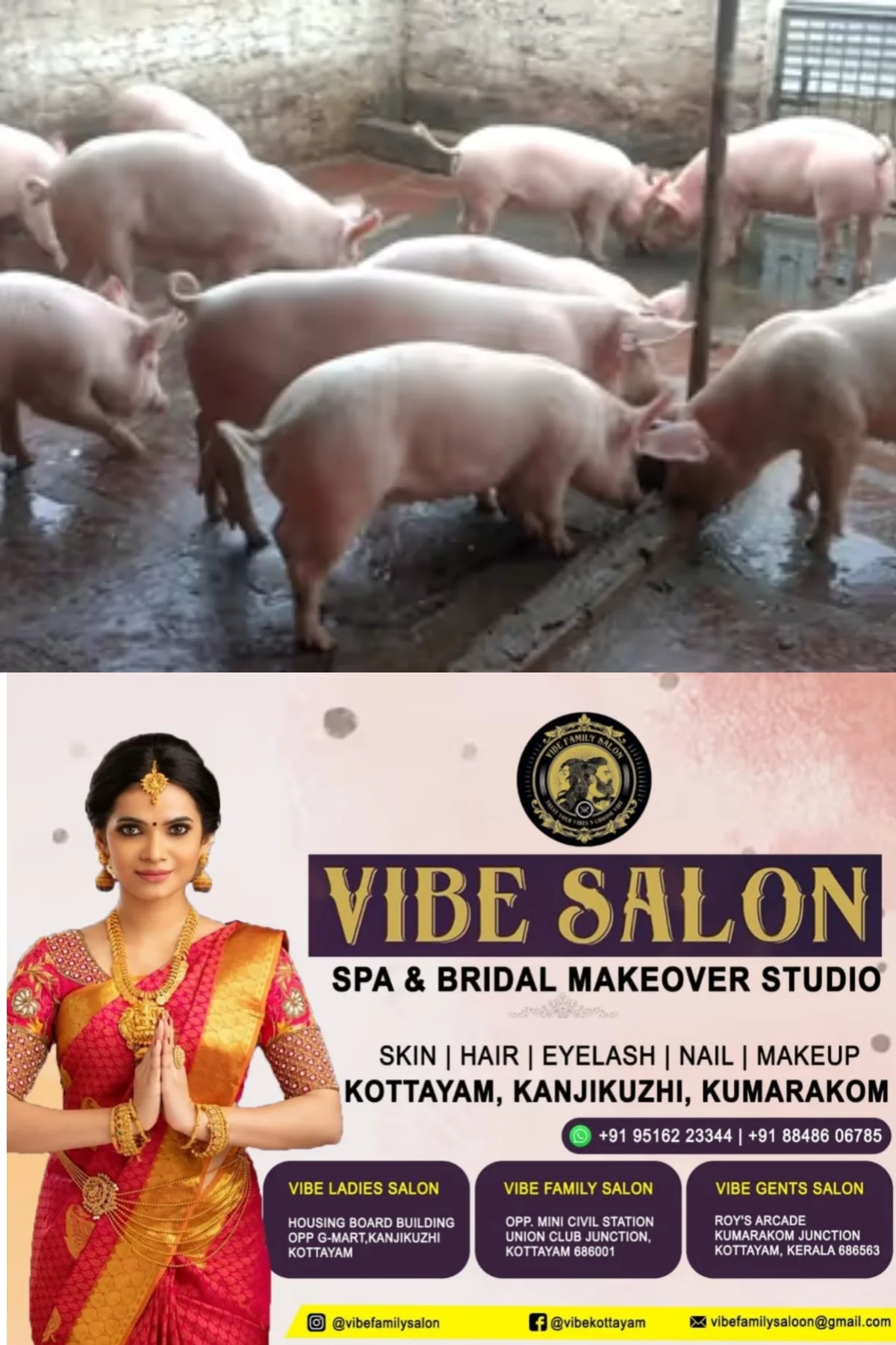 നോട്ടീസ് ലംഘിച്ച് പന്നിയിറച്ചി വില്പന; കടയുടമയ്ക്കെതിരെ നടപടി