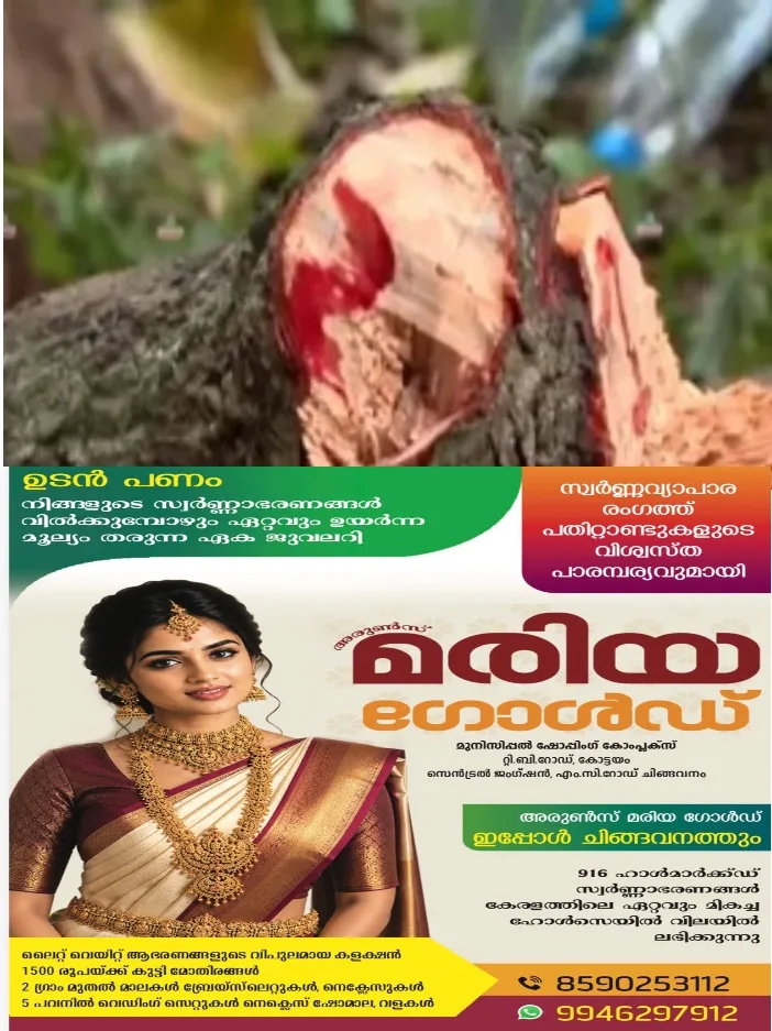 മലപ്പുറം കാടാമ്പുഴയിൽ 100 കിലോയോളം ഭാരമുള്ള ചന്ദന തടി പിടികൂടി;രണ്ടുപേരെ വനം വകുപ്പ് ഉദ്യോഗസ്ഥർ പിടികൂടി