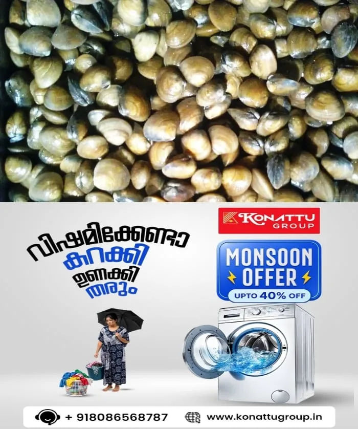 വൈക്കത്ത് പെർമിറ്റില്ലാത്ത  കക്കാത്തോട് ലോറിയില്‍ കടത്താൻ ശ്രമം; 3.5 ടണ്‍ കക്കാത്തോട് ഫിഷറീസ് ഉദ്യോഗസ്ഥർ പിടിച്ചെടുത്തു 