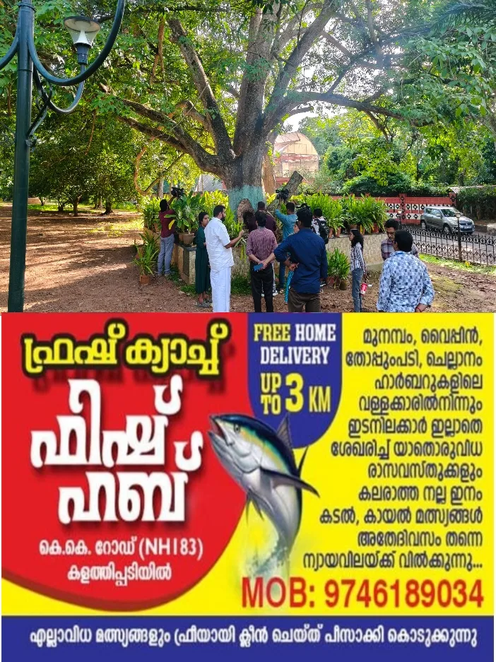 ചരിത്ര റബർ മരം സംരക്ഷിക്കാൻ റബർ ബോർഡിന്റെ പൂർണ പിന്തുണ; മ്യൂസിയം വളപ്പിൽ നേരിട്ടെത്തി റബ്ബർ ബോർഡ് ചെയർമാൻ എൻ. ഹരി