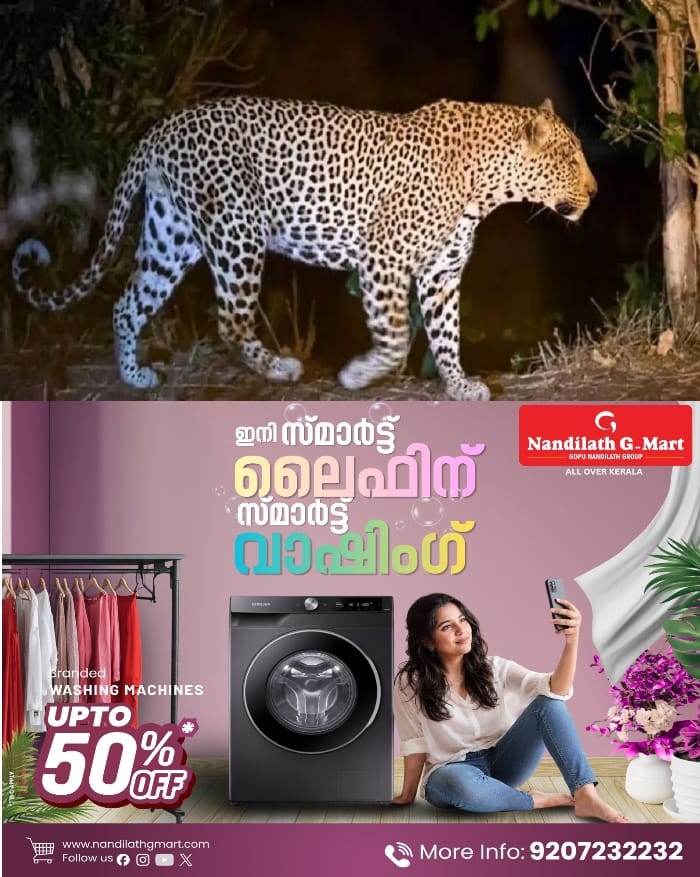 പുലി പേടിയില് മുണ്ടക്കയം പുഞ്ചവയല് സ്വദേശികള്; നായയെ കൊലപ്പെടുത്തിയത് പുലി തന്നെയെന്ന് വനം വകുപ്പ് സ്ഥിരീകരിച്ചു