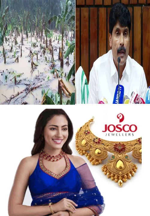 മഴക്കെടുതിയിൽ ഇതുവരെ 121 കോടിയുടെ കൃഷിനാശം;45000 കർഷകരെ നേരിട്ട് ബാധിച്ചു;കർഷകർക്ക് വേണ്ട സഹായം ഉടൻ നൽകുമെന്ന് മന്ത്രി ടി സിദ്ദിഖ്