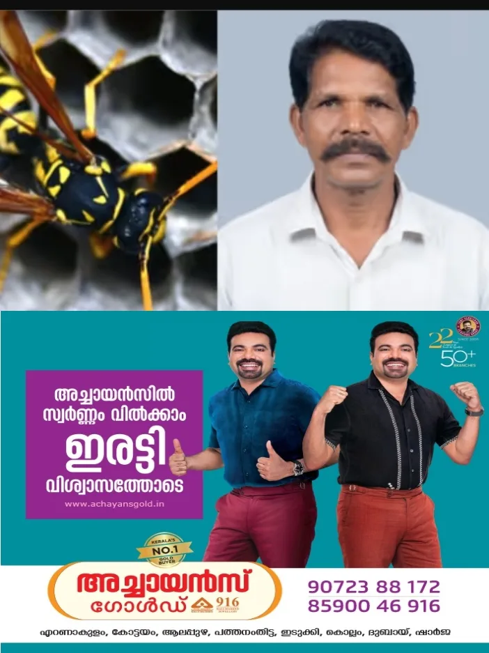 പൂച്ചാക്കലിൽ പച്ചമരുന്ന് ശേഖരിക്കുന്നതിനിടെ കടന്നൽ കുത്തേറ്റ് വയോധകന് ദാരുണാന്ത്യം
