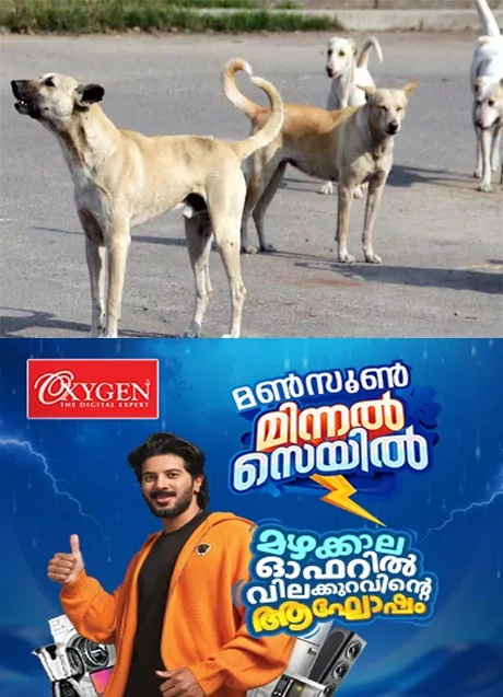 കണ്ണൂരില്‍ തെരുവുനായയുടെ കടിയേറ്റ് ചികിത്സയിലായിരുന്ന വീട്ടമ്മക്ക്  ദാരുണാന്ത്യം
