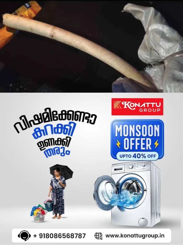 മലപ്പുറം പുത്തനത്താണിയില് നടന്ന മിന്നല് പരിശോധനയില് മൂന്നര കിലോ ആനക്കൊമ്പ് പിടിച്ചെടുത്തു; കടത്താന് ശ്രമിച്ച സംഘം വലയില്