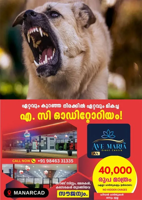   കീഴൂർ കടപ്പുറത്ത് പേപ്പട്ടിയുടെ ആക്രമണം;നാല് മത്സ്യത്തൊഴിലാളികൾക്കും  മൂന്ന് കുട്ടികൾക്കും കടിയേറ്റു