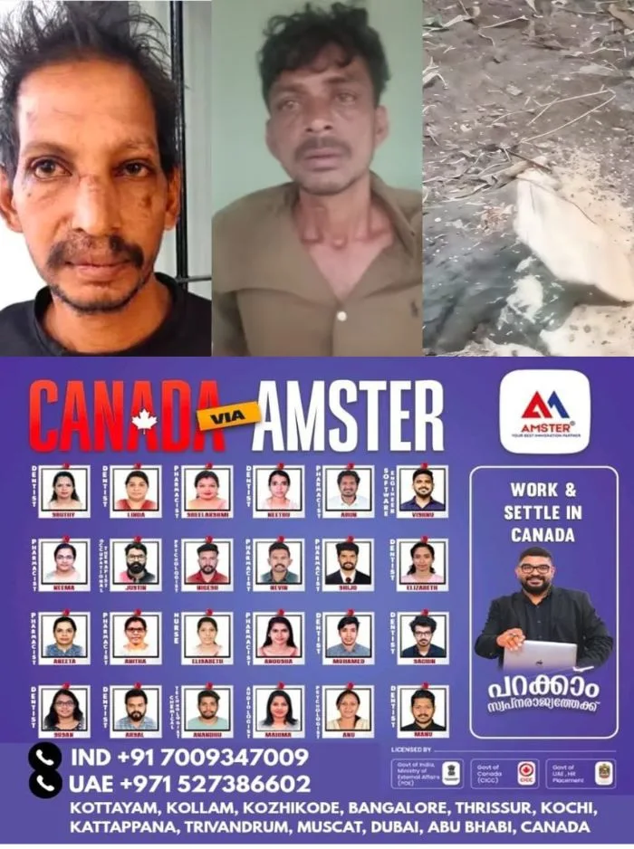രാത്രിയിൽ സ്വകാര്യ വ്യക്തിയുടെ പുരയിടത്തിൽ കയറി ചന്ദനമരം മുറിച്ചു കടത്താൻ ശ്രമം; പൊലീസ് എത്തിയതോടെ ഒരാൾ ഓടി രക്ഷപെട്ടു, പിന്നാലെ പിടിയിൽ: സംഭവം തിരുവനന്തപുരത്ത് 